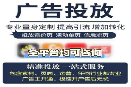 XX领域竞价广告的投放策略及效果展示